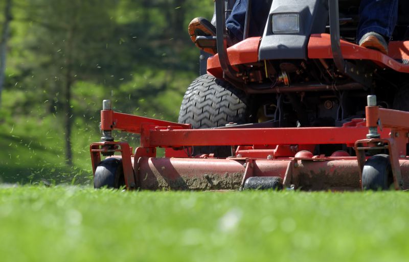 Brush Cutting Service