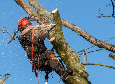 Safety in Brush Cutting