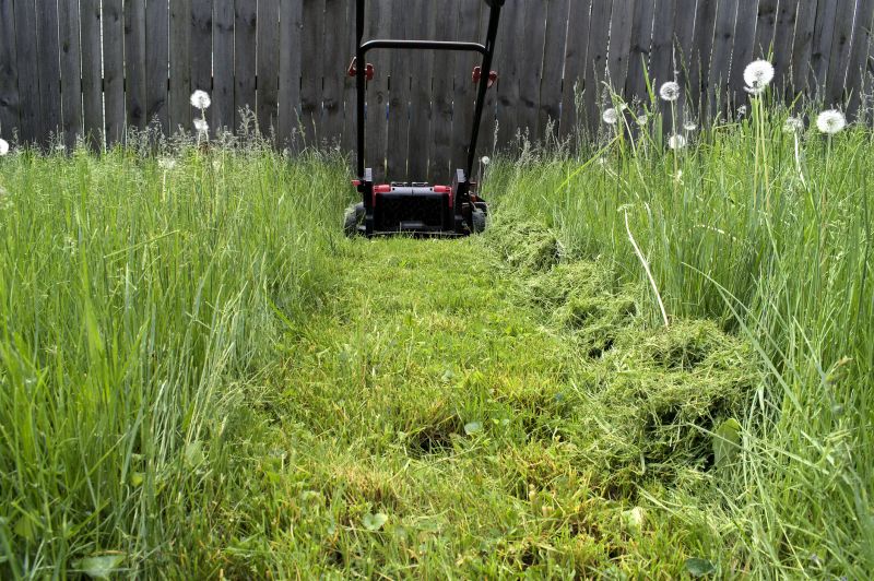 Hill Mowing in Bowie, MD