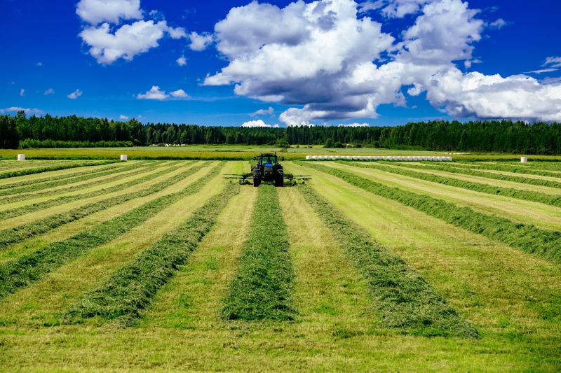 Tractor Mowing in Calvert County, MD
