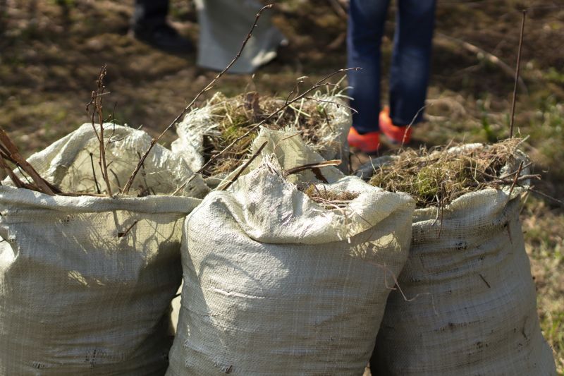 Brush Cutting Service